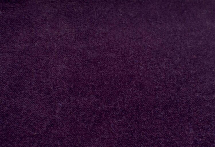 Barbara plum