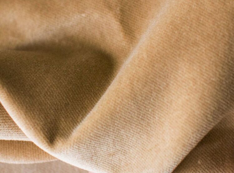 Barbara beige