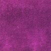 Evangelista purple
